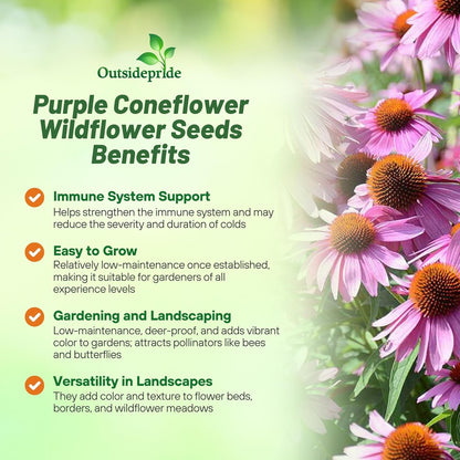 Outsidepride Purple Echinacea Coneflower Seeds - 5 lbs Perennial, Deer-Proof & Drought Tolerant Flower Seeds with Daisy-Like Blooms for Pollinator-Friendly Gardens, Borders, & Meadows