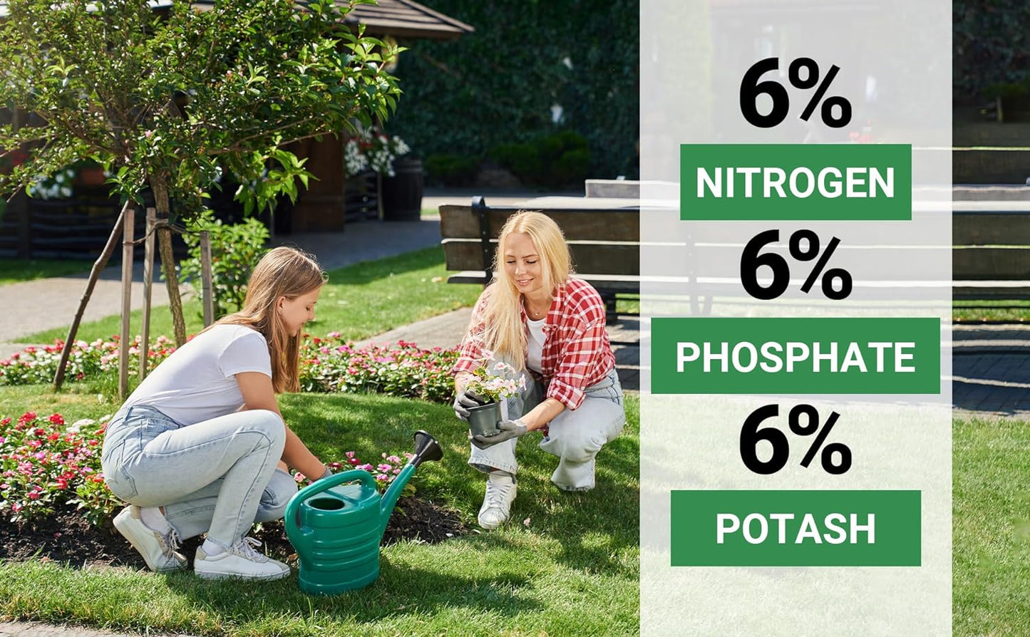 6-6-6 All-Purpose Professional Plant Food Fertilizer; Ideal for Winter Care & Spring Feeding, Perfect Balanced NPK for Indoor and Outdoor Plants (2 QUARTS)