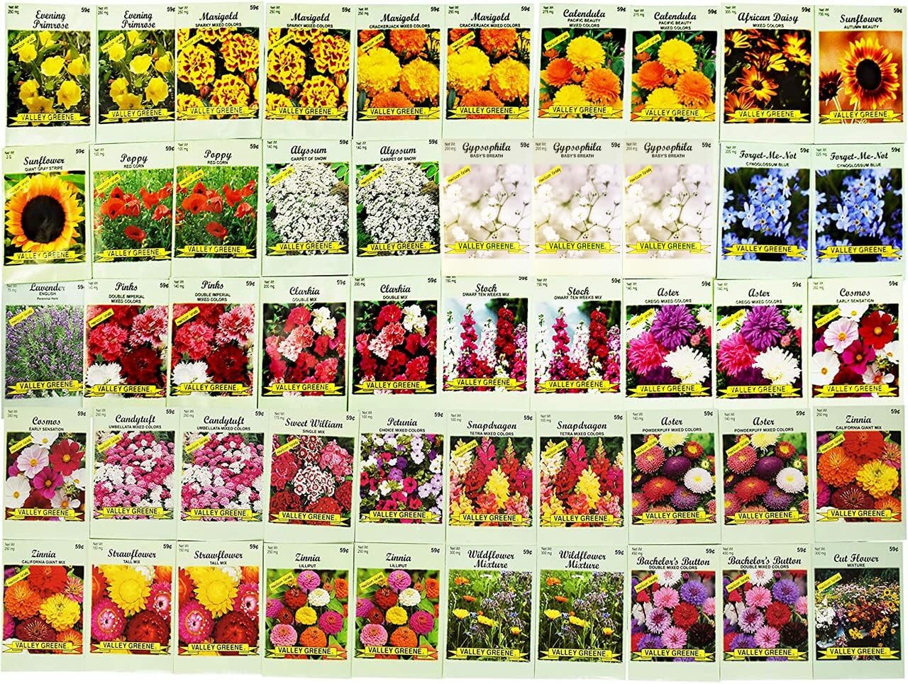 Set of 1000 Flower Seed Packets - Flower Seeds in Bulk - 15 or More Varieties Available - Great for Creating Colorful Gardens (1000)