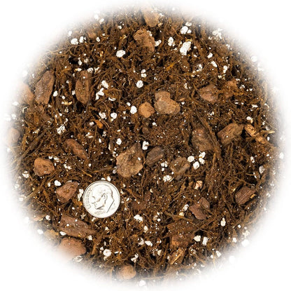 Premium Gardenera House Plant Potting Mix | Fern + New Zealand Bark + Perlite | Great for Pothos, Spider Plants, Montsera, Philodendron, English Ivy - 3 Quart Bag