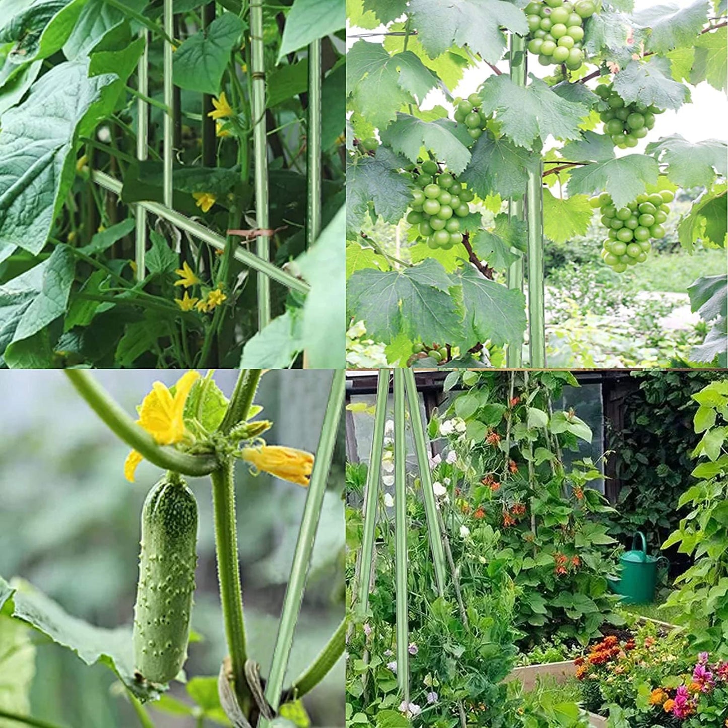 7Feet Garden Stakes Sturdy Plant Sticks Support Tomato Stakes for Vegetable Pack of 20