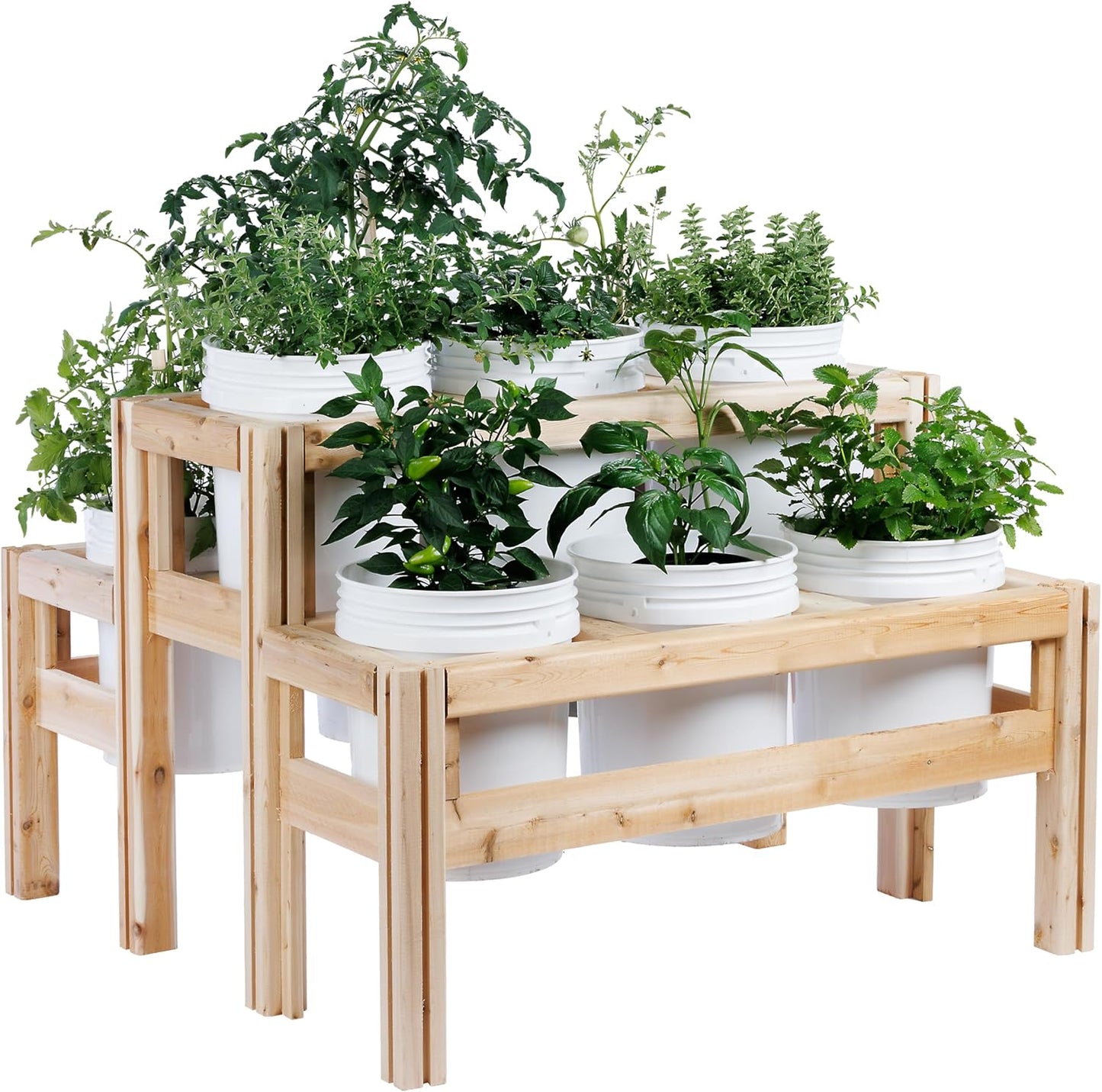 Greenes Fence Two-Tiers Nine Bucket Elevated Cedar Wood Garden Frame, 43 in. x 43 in. x 30 in. - Made in USA with North American Cedar
