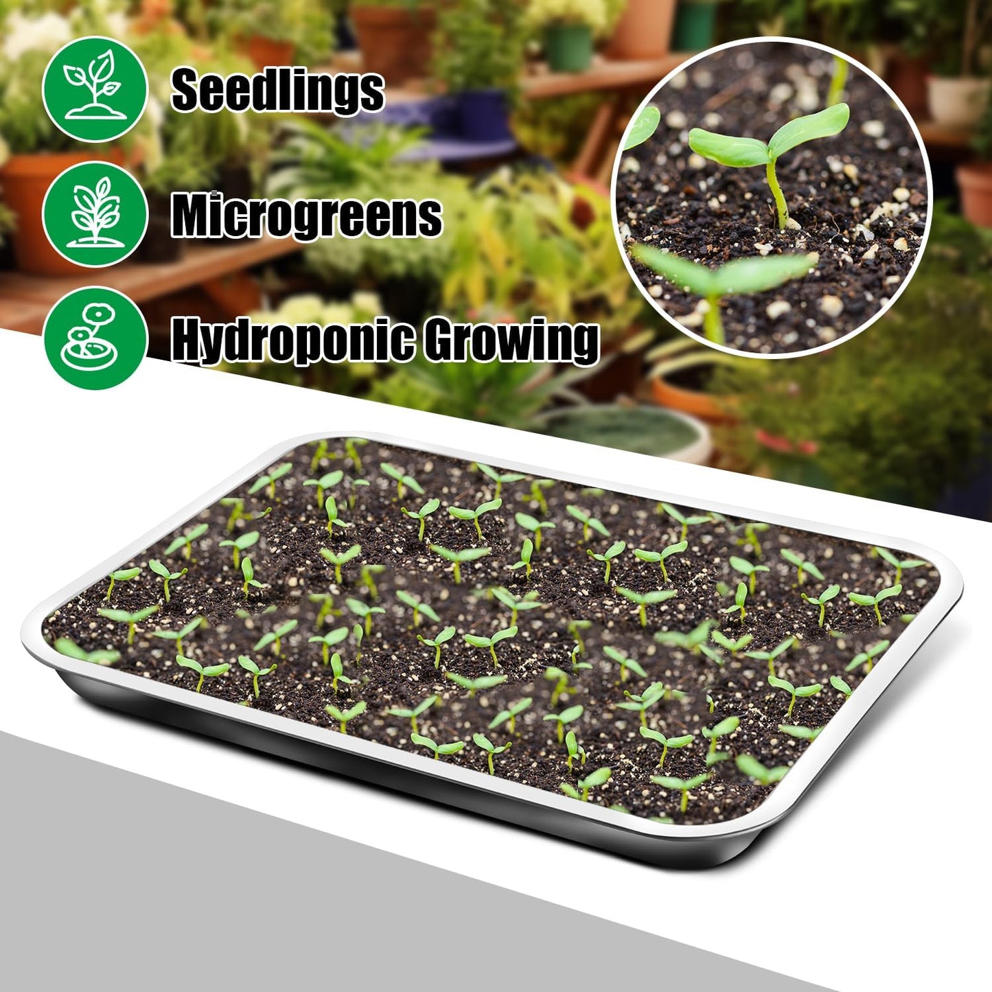 Stainless Steel Plant Trays, 5 Pack Multi-Purpose Tray for Indoor Outdoor Plants, Seed Starting Tray for Potted Plants(11.6 inch×15.2 inch, 1.45" Height, 5-Pack)