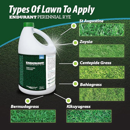 Endurant Turf Colorants - Perennial Rye Spray Green Grass Paint for Lawns - Revives Dry, Patchy Yards - Light Grass Hue - Easy to Use, Concentrated Turf Grass Dye - Covers Approx 10,000 Sq Ft - 1 Gal