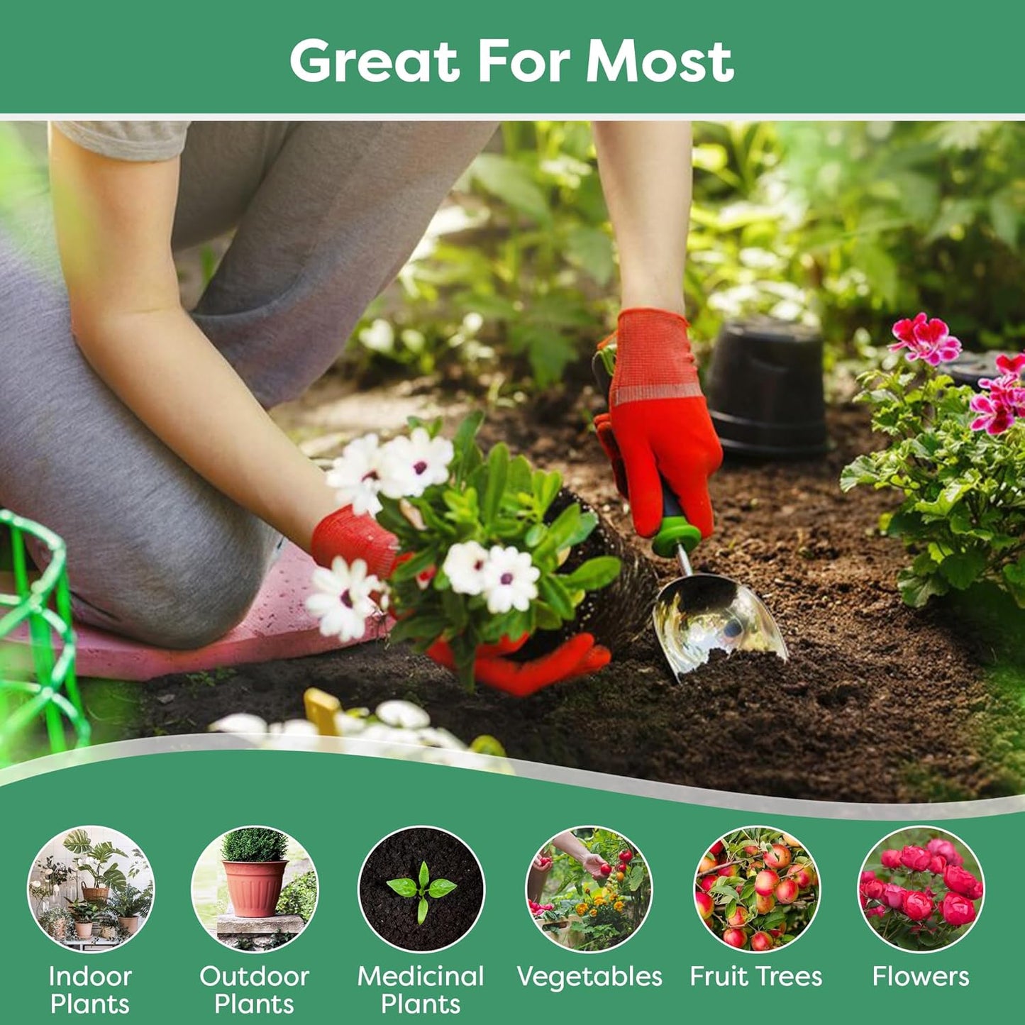 20-20-20 Water-Soluble Fertilizer – Powder for Liquid Plant Food for Indoor & Outdoor Plants, Orchids, Vegetables, Lawns, Flowers – 20 20 20 Fertilizer (20 QUARTS)