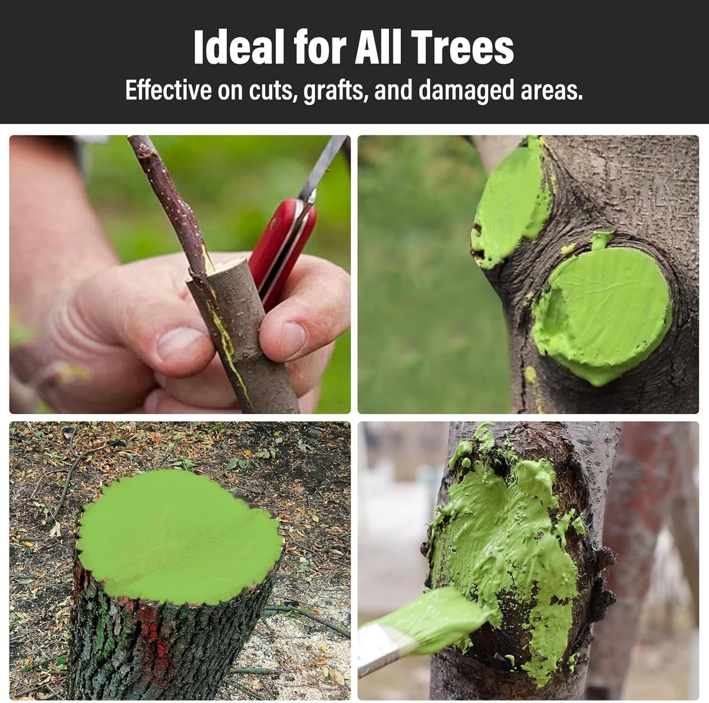 Madrigal Bonsai Pruning Sealer - Tree Wound Healing Paste for Grafting & Pruning Cuts | Fast-Drying| Professional Strength for Bonsai, Fruit Trees, and Plants