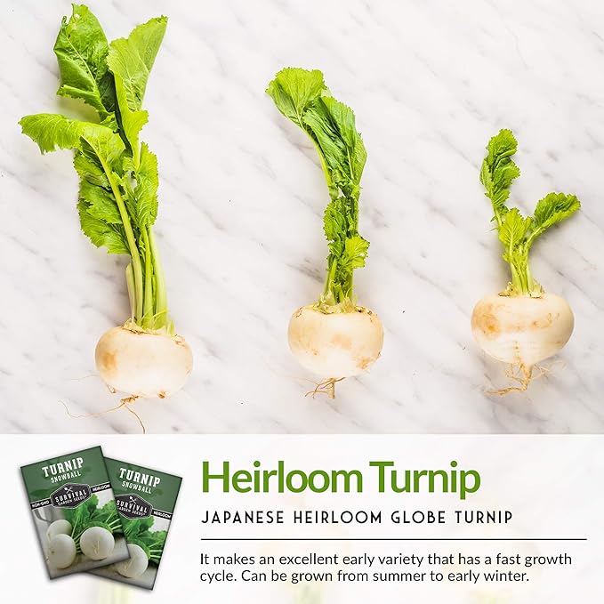 Survival Garden Seeds - Turnip Snowball Seed for Planting - 2 Packs with Instructions to Plant and Grow Root Vegetables and Greens in Your Home Vegetable Garden - Non-GMO Heirloom Variety - Seed Vault
