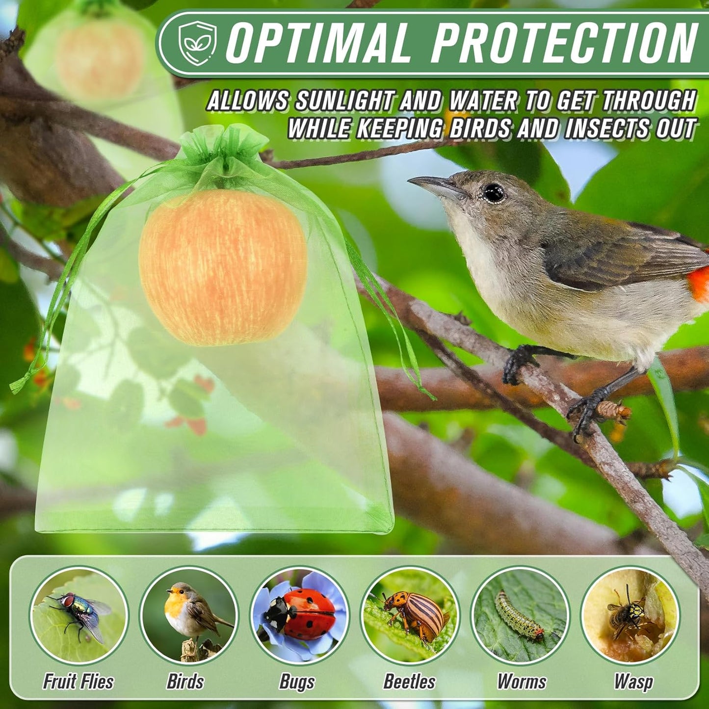 ANZNKU 100pcs 8x12 Inch Fruit Protection Bags, Fruit Bags for Fruit Trees, Green Mesh Cover Bag Garden Netting Pest Barrier for Tomato Mango Vegetables