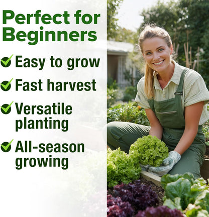 HOME GROWN 11,500+ Heirloom Lettuce Seeds - 10 Varieties Including Romaine, Buttercrunch, Iceberg, Kale & Spinach - Non-GMO USA Seeds for Planting Indoor, Outdoor & Hydroponic Gardens