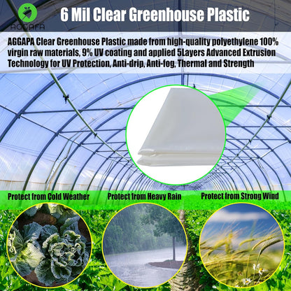6 mil (10ft x 15ft) 100% Virgin Material. 5Layers Advanced Extrusion Technology for UV Protection, Anti-drip, Anti-Fog, Thermal and Strength. 4Years Lifetime UV Resistant Greenhouse Plastic