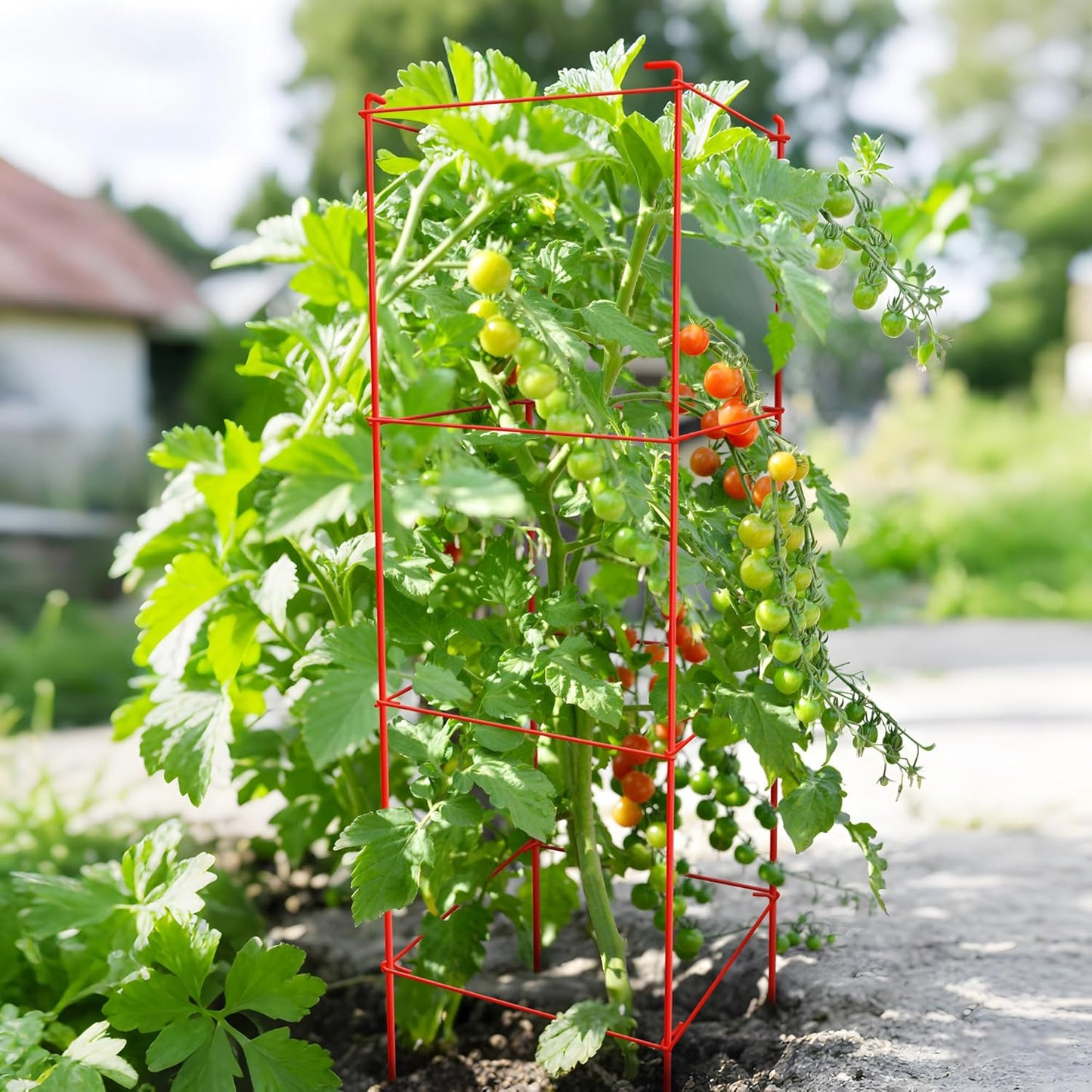 Tomato Cages 6 Packs 46 Inch (H) Plant Stand with 164 Feet Twist Ties, Heavy Duty Garden Plants Support for Tomatoes, Cucumber, and Other Climbing Plants (Red)