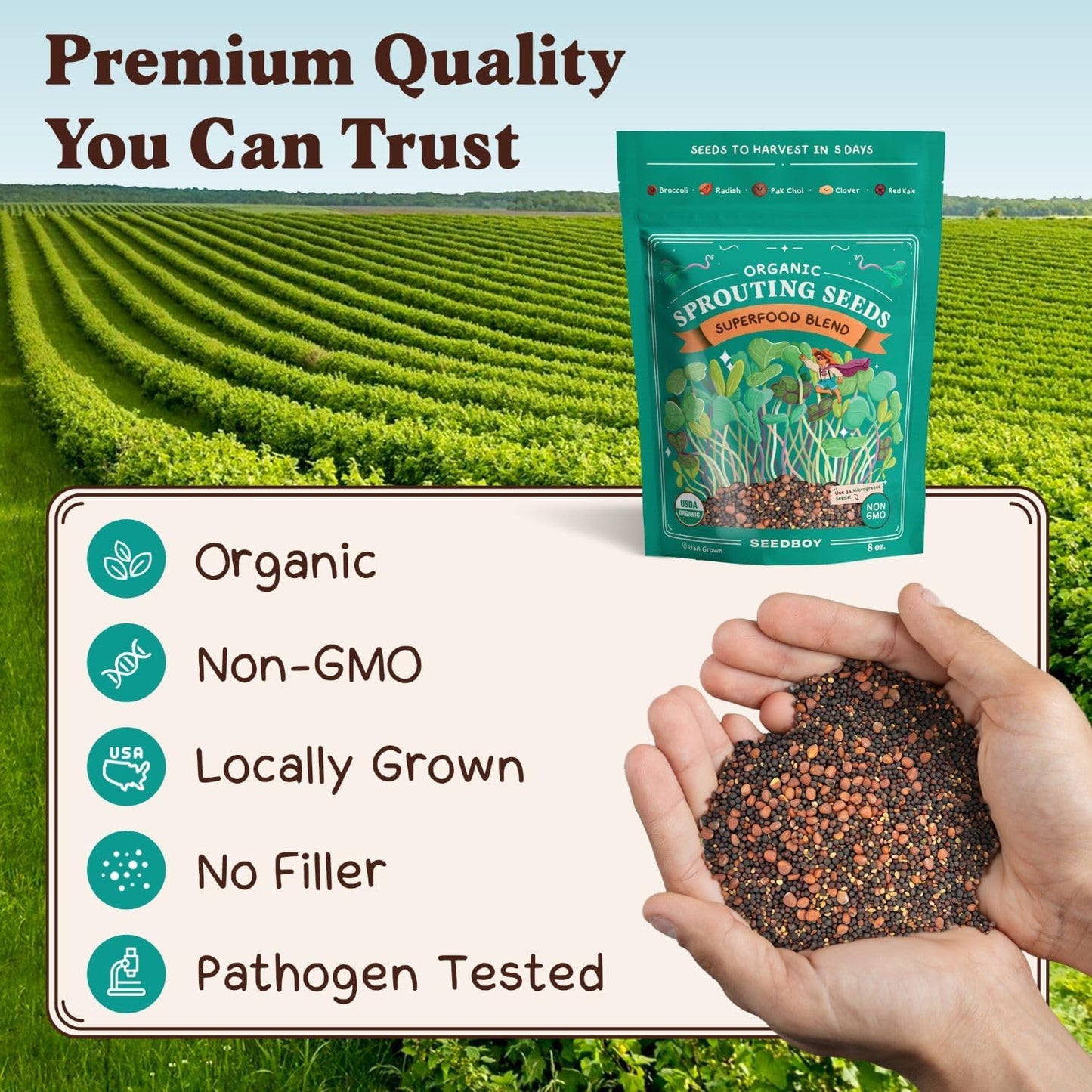 Seedboy Organic Non-GMO Sprouting Seeds, Superfood Blend - USA Grown Microgreens Mix with Broccoli, Radish, Pak Choi, Clover, Red Kale - 8 oz Makes 8 Quarts / 24 Servings (Superfood Blend)