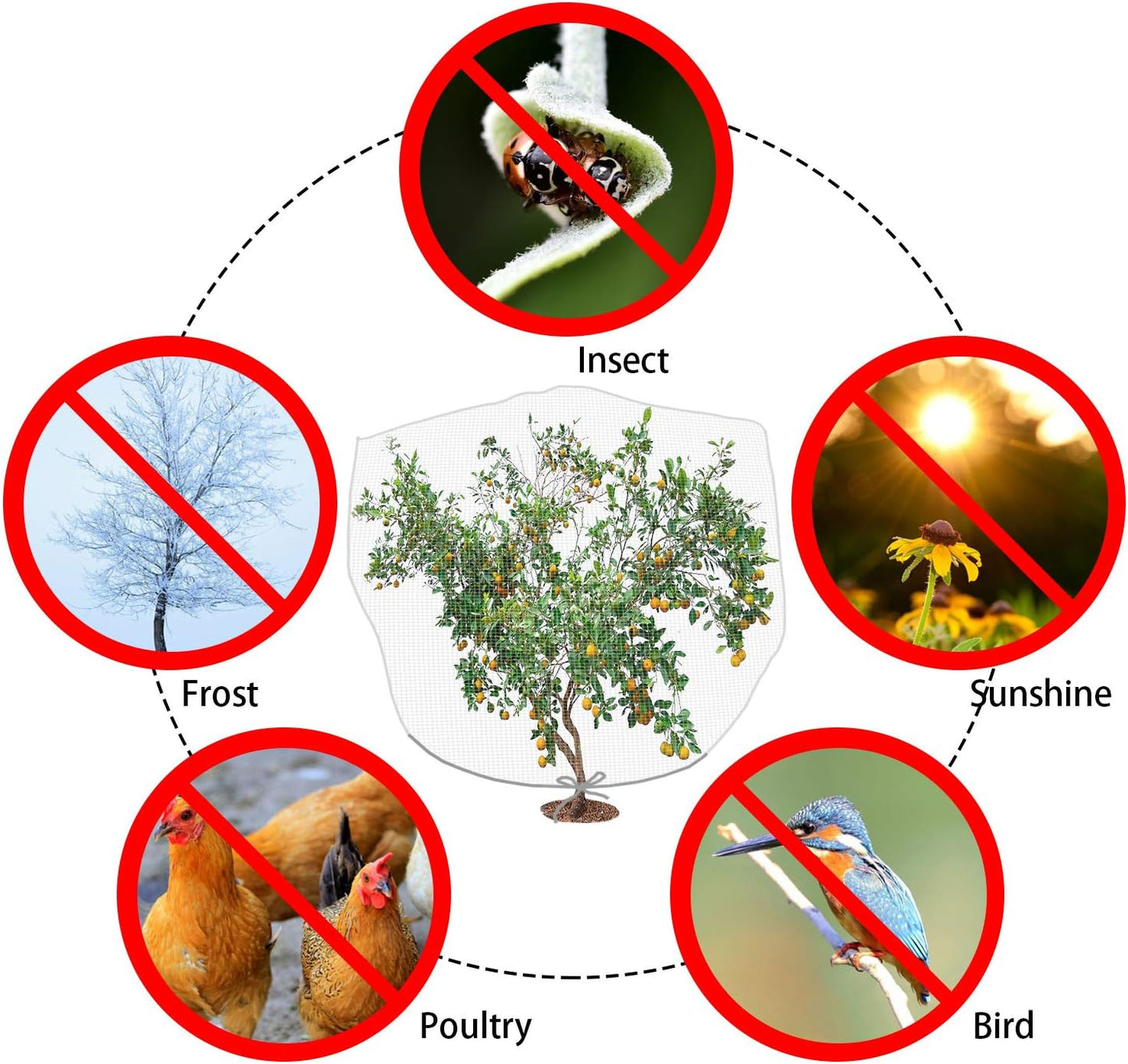 8.2 x 6.5 Feet Large Fruit Tree Netting, Insect Bird Barrier Tree Net with Drawstring, Garden Bird Netting Plant Cover for Protect Plant Fruit Flower from Insect Bird