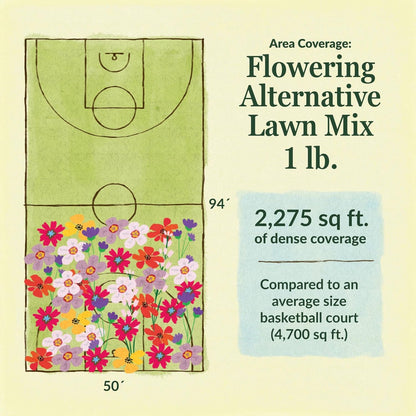 Ferry-Morse Flowering Grass Alternative Mix Bulk Wildflower Seeds, 1lb