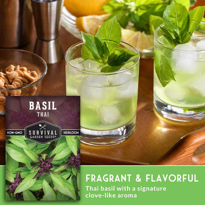 Survival Garden Seeds - Thai Basil Seed for Planting - 3 Packets with Instructions to Plant and Grow Asian Basil Indoors or Outdoors in Your Home Vegetable Garden - Non-GMO Heirloom Variety