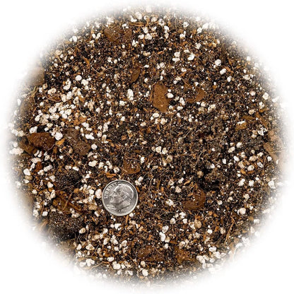 GARDENERA Premium Spider Plant Potting Soil Mix - (3 Quart Bag)