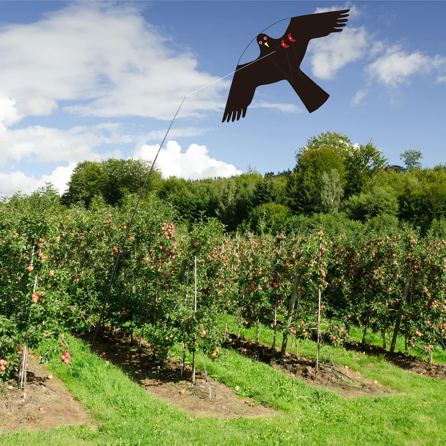 Bird Hawk Flying Kite with Pole Crops Farm Protector Bird Scarer Flying Kite with 4m Pole-Style C