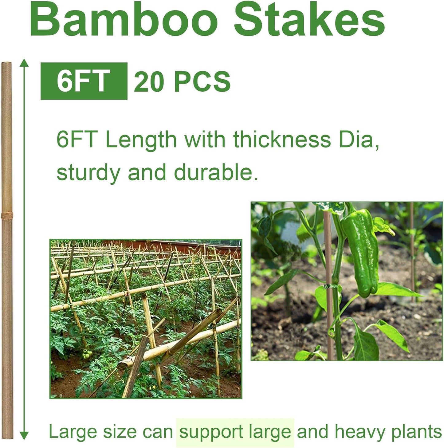 Bamboo Garden Stakes 2FT/3FT/4FT/4.8FT/6FT/7FT/8FT, Plant Stakes for Outdoor Plants, Plant Support Stakes Tomato, Vegetables Beans Trees Climbing Plants (6FT, Pack of 20)