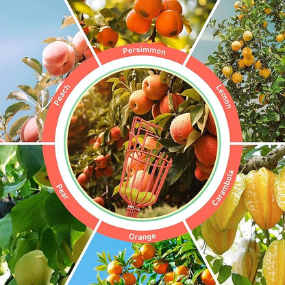 SHOUNAJIA 5-13FT Fruit Picker, Adjustable Long Handle Fruit Picker Pole with Basket, Fruit Picker Tool for Apple Lemon Orange Mango Avocado Fruit Mango Picking