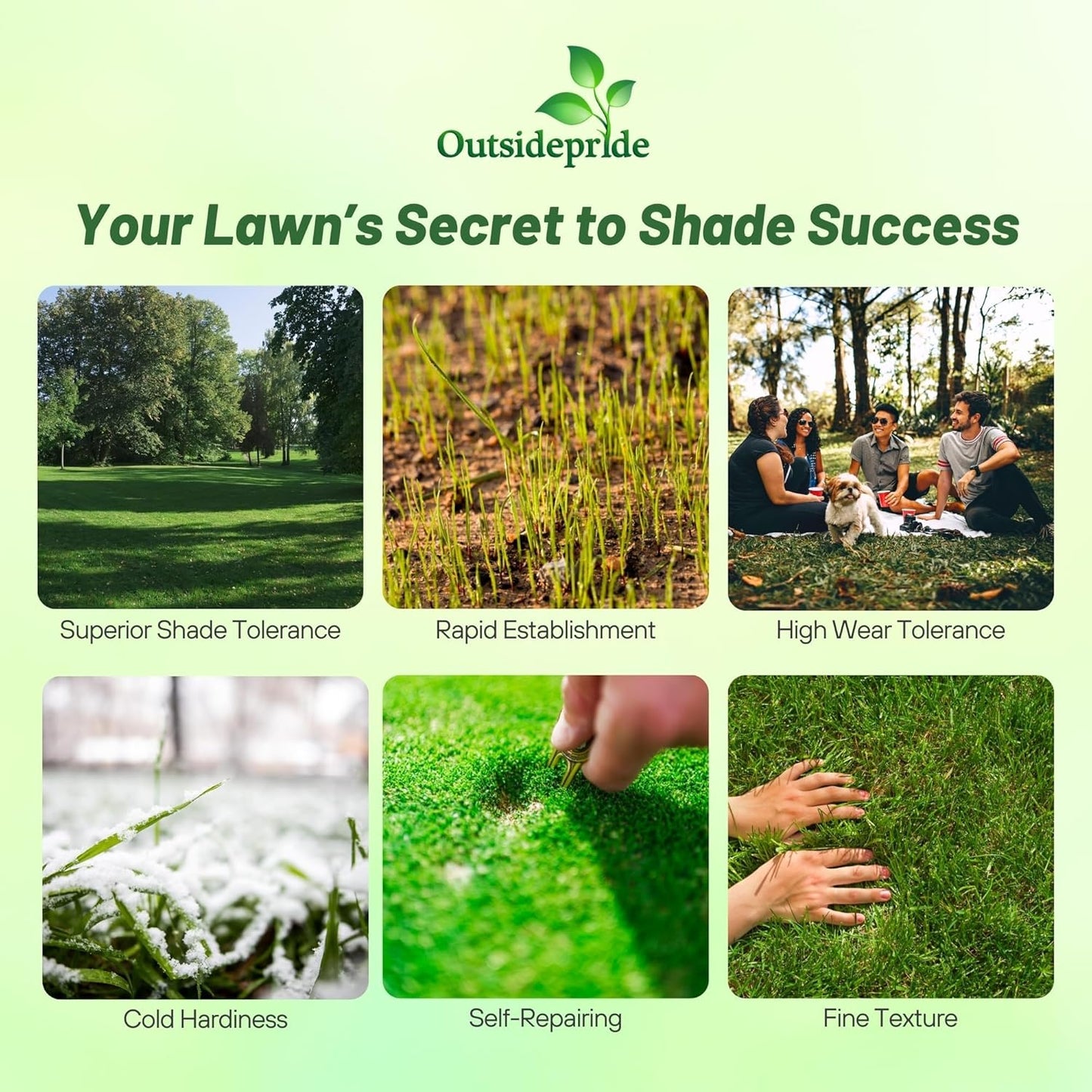 Outsidepride 1 Lb Supranova Shade Grass Mix of POA Supina & Rough Bluegrass - Shade Tolerant Grass Seed for Golf Courses, Athletic Fields, & Outdoor Lawns, OptiGrowth Coated for Seed Enhancement