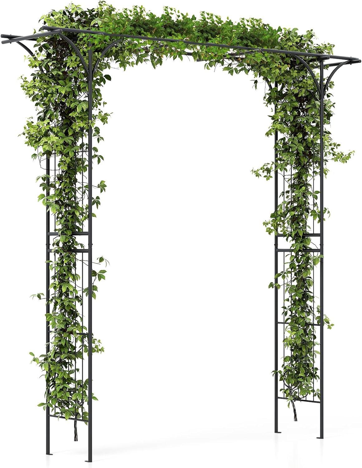 SAFSTAR 81-Inch Garden Arch, Metal Arbor Archway for Climbing Plants, Decorative Lawn Arbor, Heavy-Duty Arch Trellis for Climbing Plants Outdoor Wedding Ceremony Party Backyard