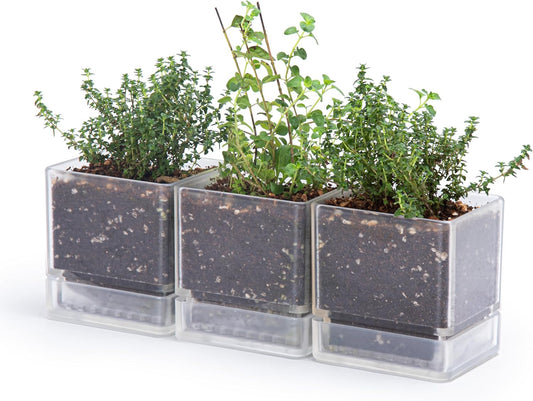 D'vine Dev 4 Inch Herb Planter Pot, Plastic Planter with Drainage Holes and Saucer, Modern Decorative Gardening Pot for Indoor Plants, Flowers, Herbs, Succulents, Clear, Set of 3, 76-Y-D-3