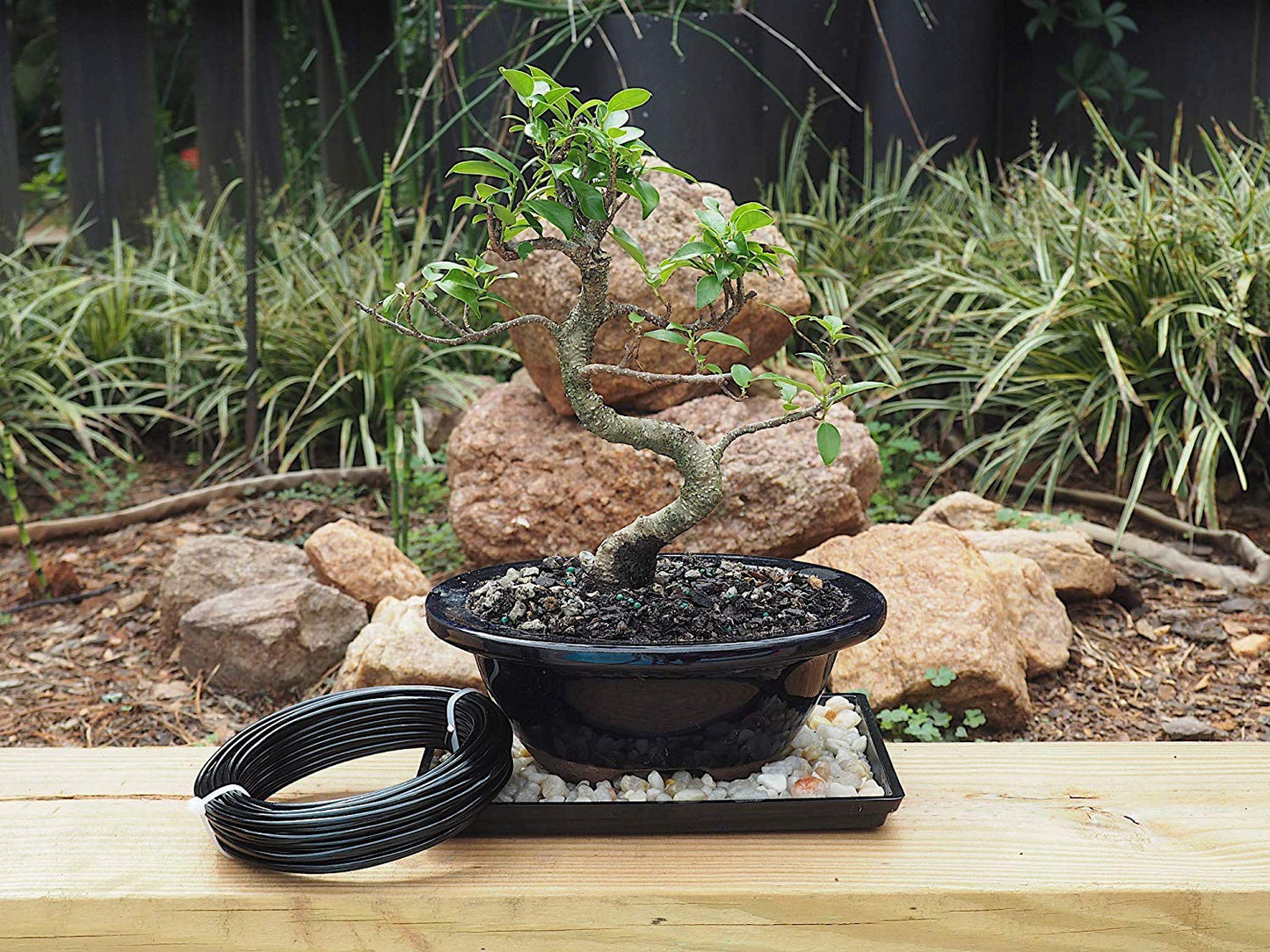 Anodized Aluminum 3.5mm Bonsai Training Wire 250g Large Roll (30 feet) - Choose Your Size and Color (3.5mm, Black)