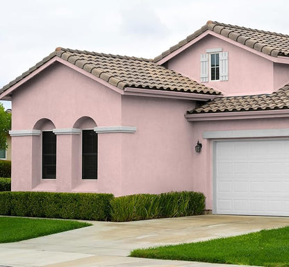 EVOLVE Paint & Primer: Environment-friendly, Low Sheen with One-coat Coverage for Interior & Exterior surfaces (Posy Pink, 5-Gallon)