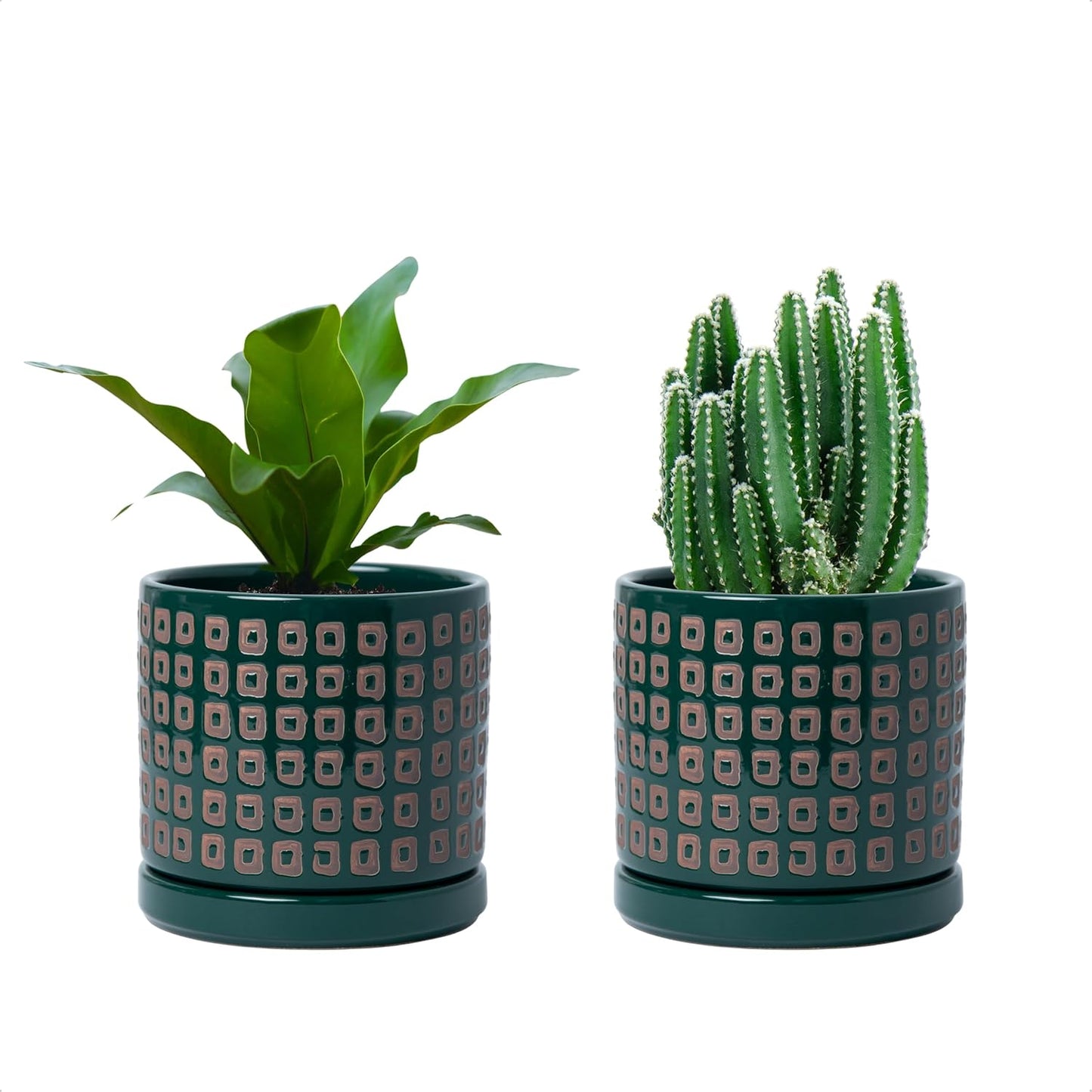 D'vine Dev Set of 2 Ceramic Planter Pots with Drainage Hole and Saucer, 4.5 Inch Plant Pots for Plants Indoor Houseplants, Green, 99-Z-A-4-V