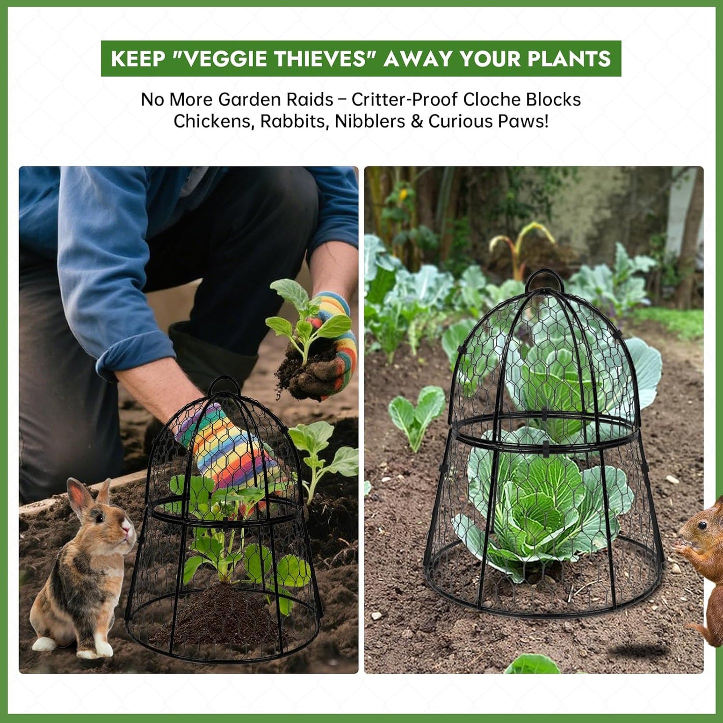 Decoroca 4 PCS Garden Cloches for Plants - Chicken Wire Plant Protectors from Animals, Outdoor Plant Cages to Keep Squirrels, Rabbits & Birds Out of Vegetable - DIY in 5 Forms - Sturdy Anti-Rust Dome