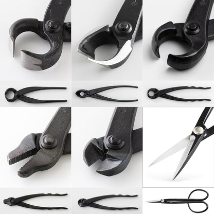 Wazakura Made in Japan 6PCS Bonsai Professional Tool Kit with Roll Bag: Yasugi Steel Twig Scissor, Concave Branch Cutter, Knob Cutter, Jin Plier, Wire Cutter, Root Cutter. Bonsai Tool Set with Case