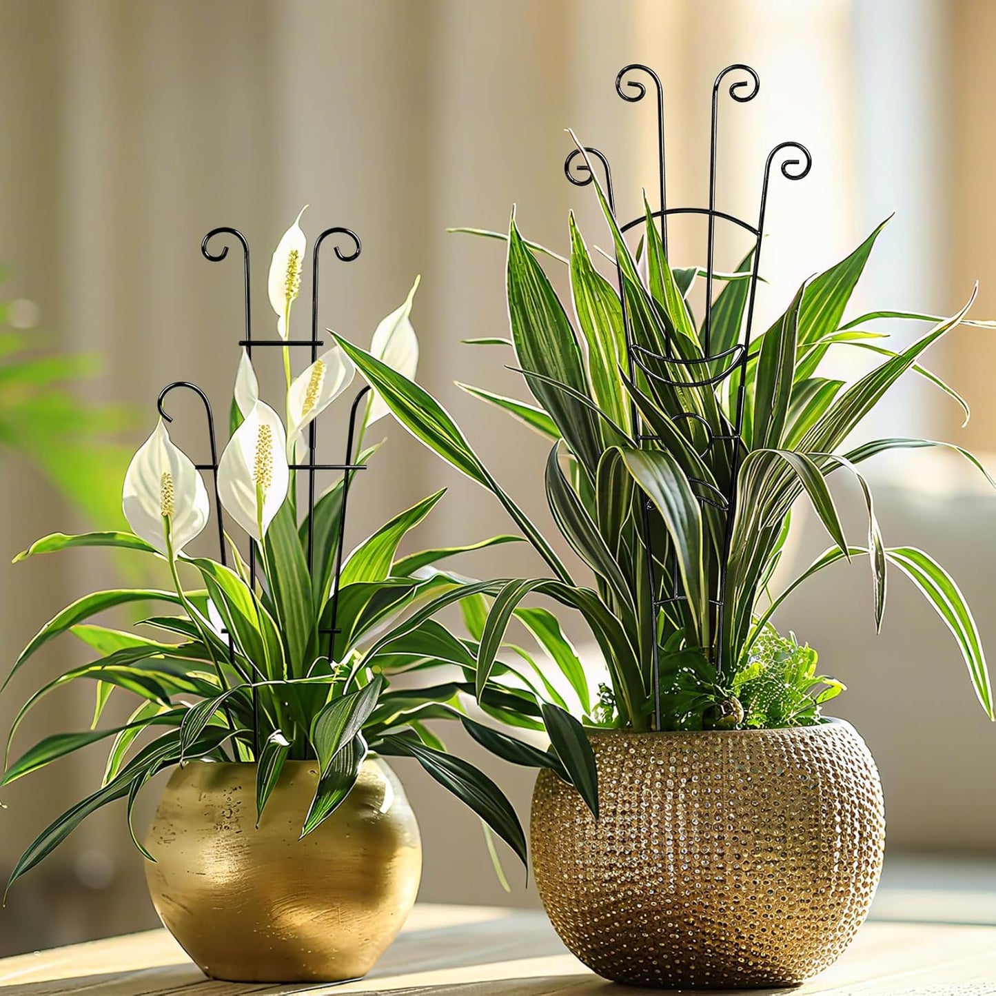 2 Pcs Large Trellis for Potted Plants, Expandable Rust-Proof Metal Garden Trellis, Wave-Shaped Plant Trellis Indoor and Outdoor with 20 Meters Plant Ties and 4 Adorable Decorative Mushrooms (Black)