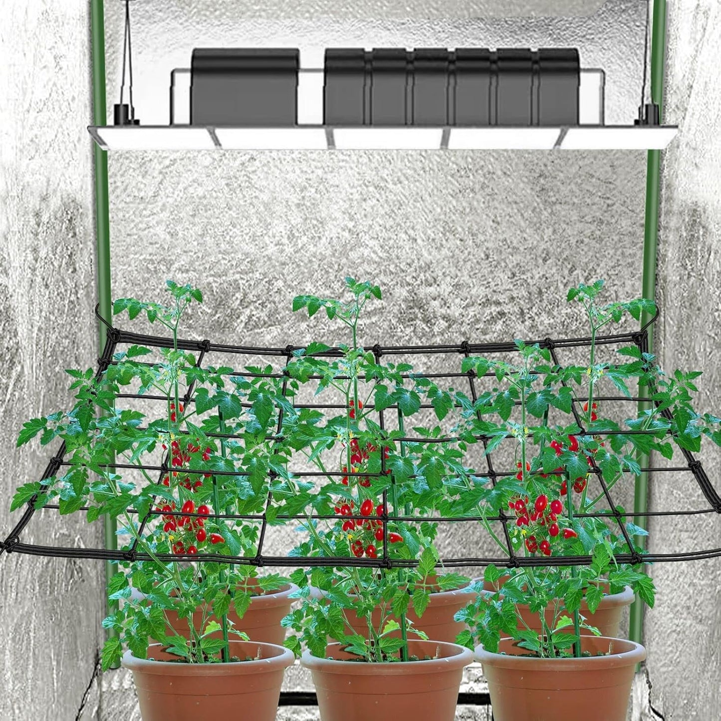 5x5 Heavy Duty Scrog Net with Hooks, Stretchy Net for Grow Tents, Cucumber Trellis for Garden