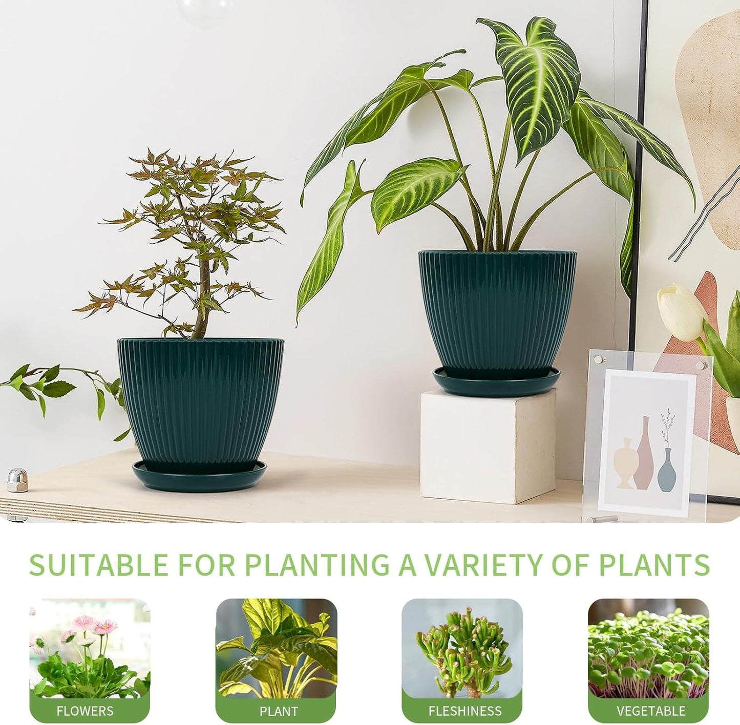 Plant Pots Indoor with Saucers & Drainage - 6 Pack Flower Pots - Plastic Planters for Indoor Planter - 7.5/6.6/5.8/5.0/4.3/3.5 inches Sizes for All Different Types of Plants-Dark Green