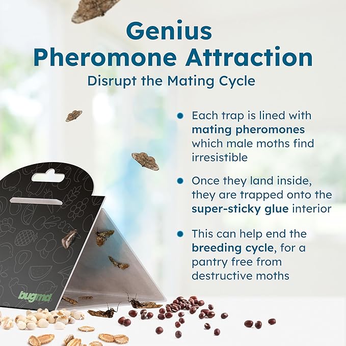 BugMD Pantry Moth Traps (6-Pack) – Pheromone-Based Sticky Glue Traps, Non-Toxic, Kills Indian Meal Moths – Kitchen & Food-Storage Safe - Black