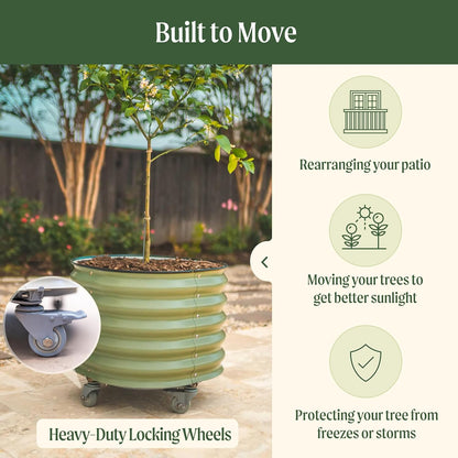 Rolling Metal Citrus Tree Planter, Self-Watering Round Planter Box for Porch Patio & Backyard, Raised Garden Bed with Wheels for Growing Trees Tomatoes Vegetables and Flowers, Twin Pack-Modern Gray