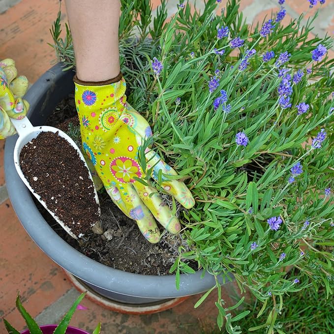 Premium Lavender Potting Mix 2qt, Promotes Lavender Blossoming, Perfect for Indoor and Outdoor Gardening