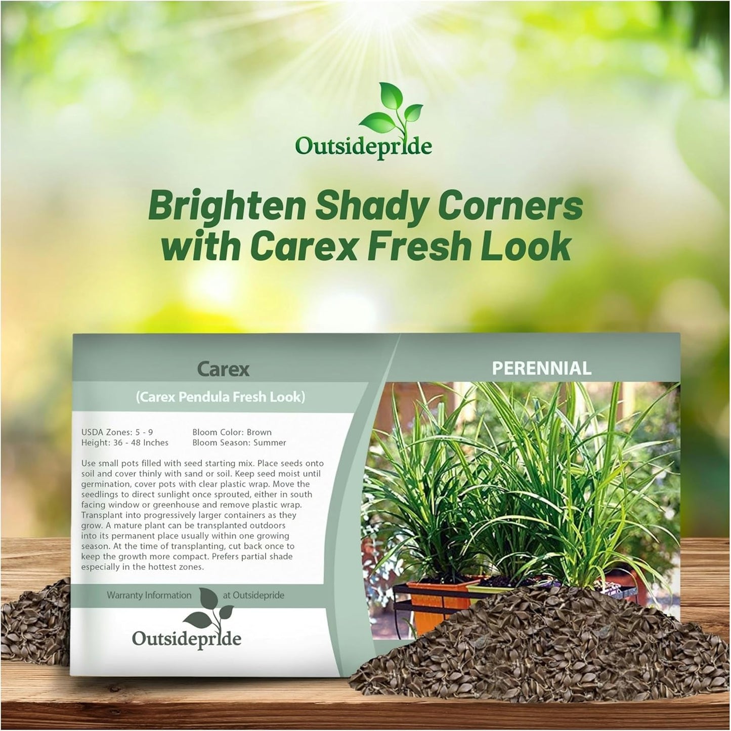 Outsidepride Carex Fresh Look Ornamental Grass Seed – 200 Pcs. Perennial, Low-Maintenance, Drought-Tolerant Grass Seeds with Low Growing Foliage for Borders, Ground Covers, & Outdoor Living Spaces