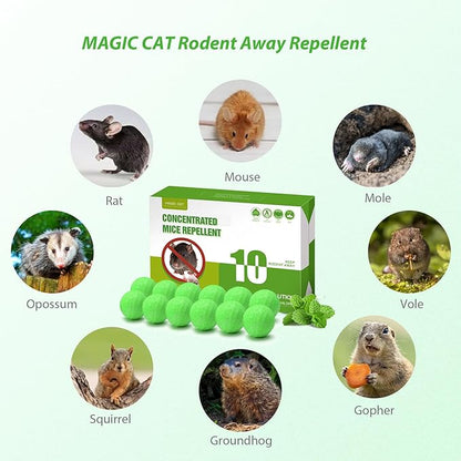 MAGIC CAT Rodent Repellent Peppermint Oil to Repel Mice & Rats, 10 Pack Natural Rat Deterrent for Indoor Home Pet Family Safe, Mouse Stopper for Car Engine RV Truck Garage Closet Boat Rodent Control