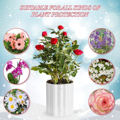 Queekay 12 Pcs Rose Cones for Winter Protection, 16.5 x 9 Inch Winter Rose Collars Bush Cover for Keep Warm, Protecting Plants from Wind Blows Freeze Animals Eating Indoor Outdoor Gardens (White)