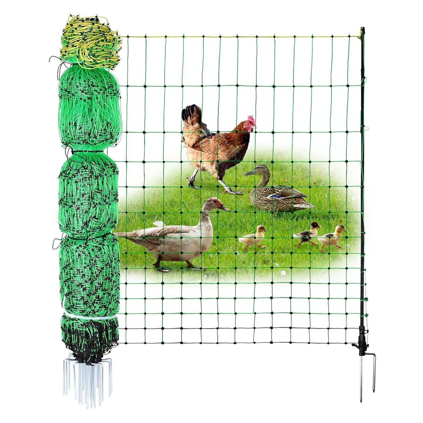 ANDMON Electric Poultry Netting, 48" x 164' Electric Fence Netting with Double Spiked Fiberglass Posts, Electric Chicken Fence for Poultry in Backyards, Homesteads, Farms and Ranches