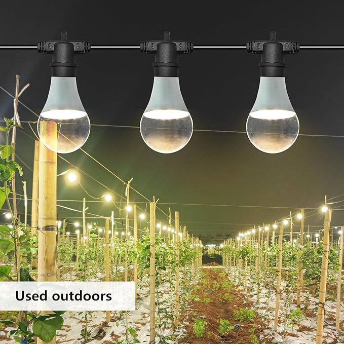 Hanging Grow Light String Bulbs LED Growth Bulb A25, Full Spectrum Plant Light E26 Base 15W, houseplant Growting lamp, Greenhouse Indoor or Outdoor (3 Lights and Cord)