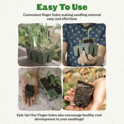 Epic Gardening Reusable Seed Starter Tray - 6 Cell/24 Seedling Starter Trays - Easy Watering, Indoor Greenhouse, Plant Starter, Gardener-Friendly for Seedlings | UV-Treated & BPA-Free - Sage Green