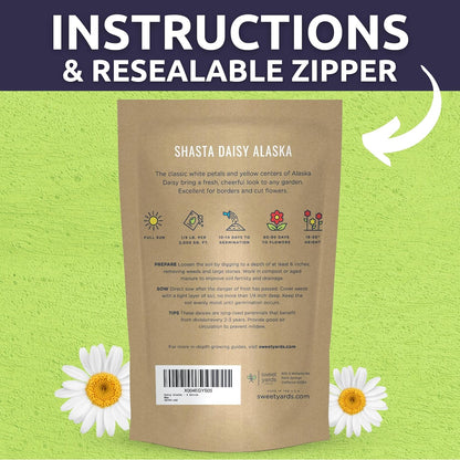 Shasta Daisy Alaska - Bulk 1/4 Pound Pouch - 100,000 Flower Seeds for Planting - Leucanthemum × superbum