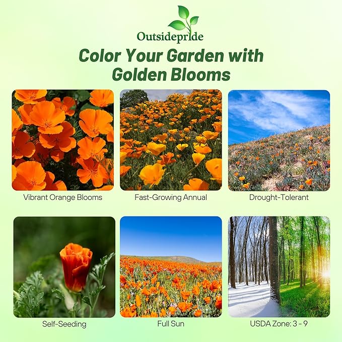 Outsidepride California Poppy Seed - 1/4 LB