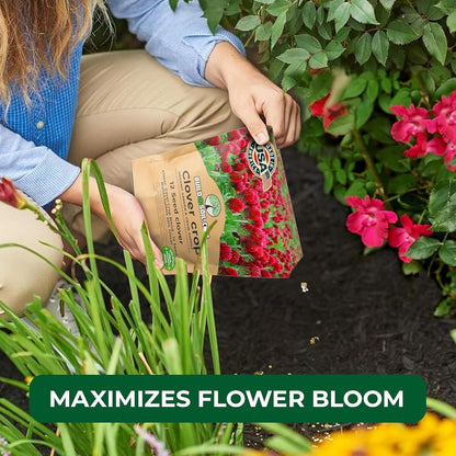 BuildASoil No-Till Clover Seed Cover Crop Blend 12 Species Cover Crop Seed Mix Premium Clover Seeds for Lawn - Plants Friendly Cover Crop for Garden - 60% Clover (1 lb Bag)