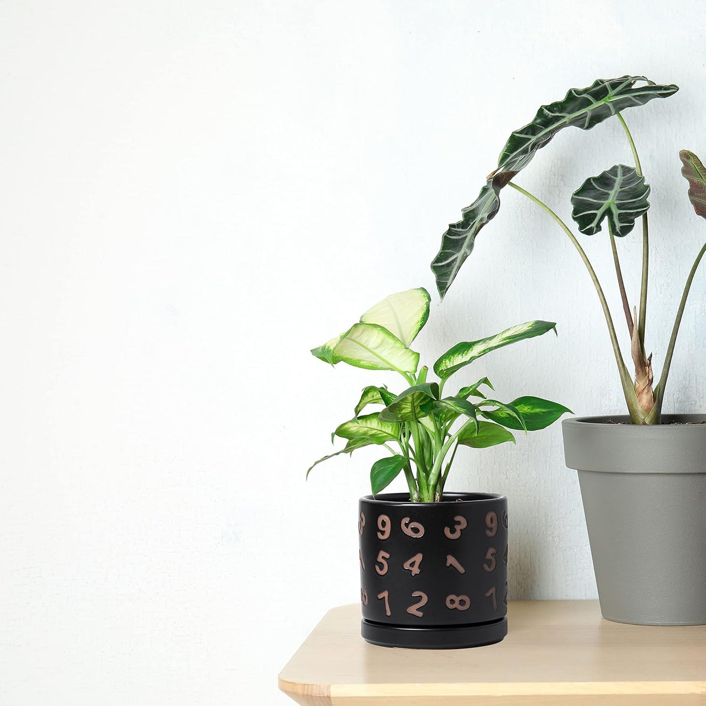D'vine Dev Set of 2 Ceramic Planter Pots with Drainage Hole and Saucer, 4.5 Inch Plant Pots for Plants Indoor Houseplants, Black, 99-Z-B-2-V