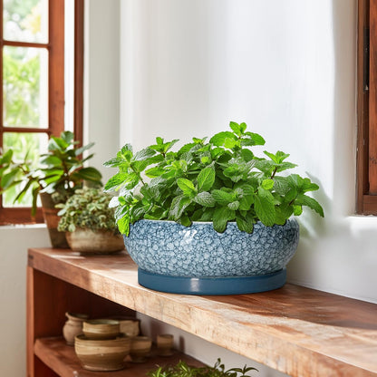 Bonsai Pots 10 Inch - Ceramic Succulent Planters with Drainage Hole and Saucer, Succulent Pots for Indoor Outdoor, Shallow Flower Pot, Round Planter, Patio Decor, Housewarming Gifts, Blue