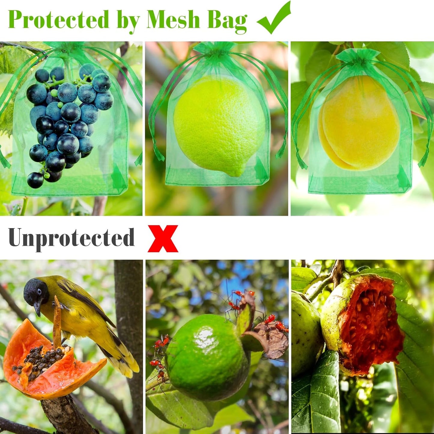 Morcheiong 60Pcs Protection Bags 8" x 12", Reusable Netting for Fruit Trees, Garden Mesh With Drawstring (Dark Green), M1076MCHYB