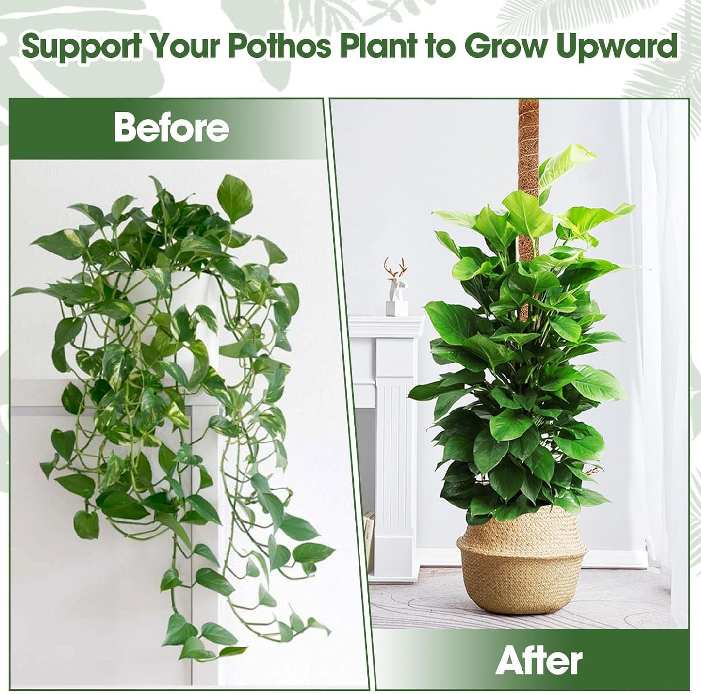 2 Pack Moss Pole, 63 Inch Bendable Moss Poles for Plant Monstera, Tall Plant Support Stakes for Climbing Plants Indoor, Coco Coir Plant Stick Support Kit for Potted Plants, Pothos, Philodendron